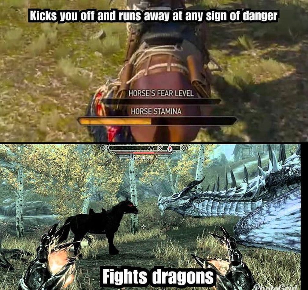 The Witcher 3 Roach Meme