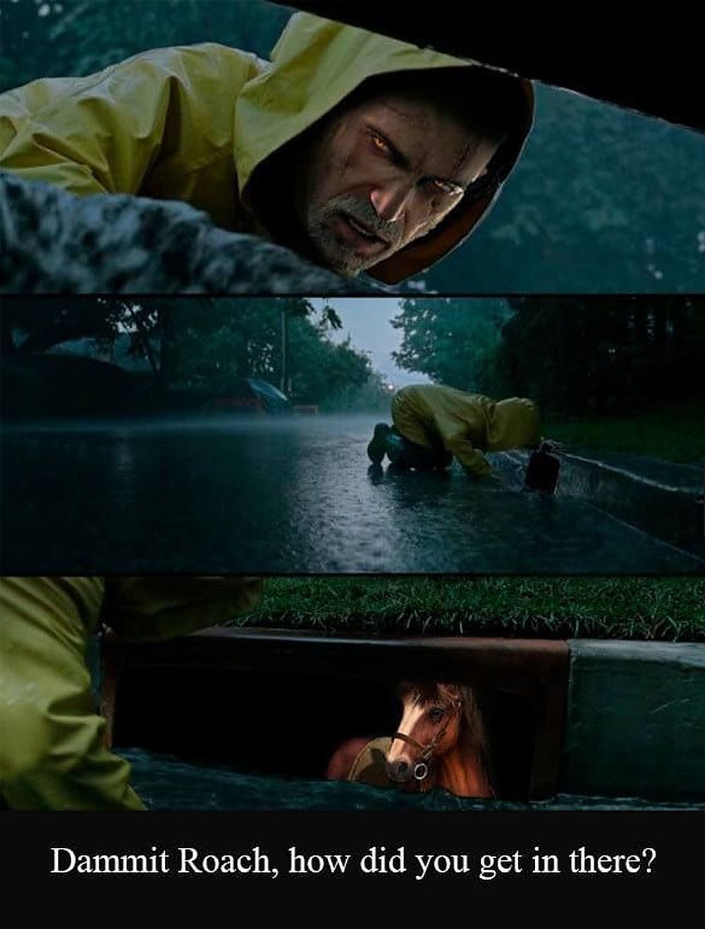 The Witcher 3 Roach Meme