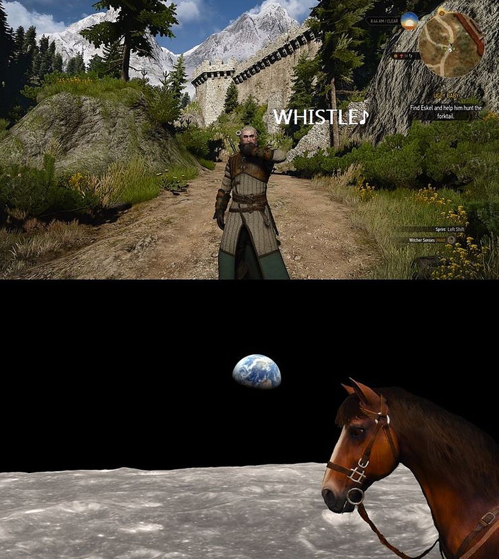 The Witcher 3 Roach Meme
