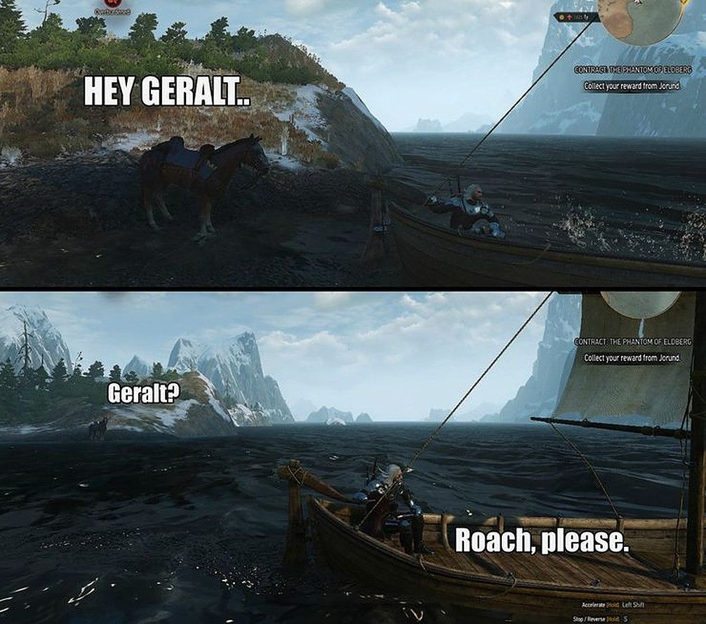 The Witcher 3 Roach Meme 3