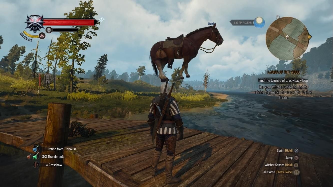 The Witcher 3 Roach Meme