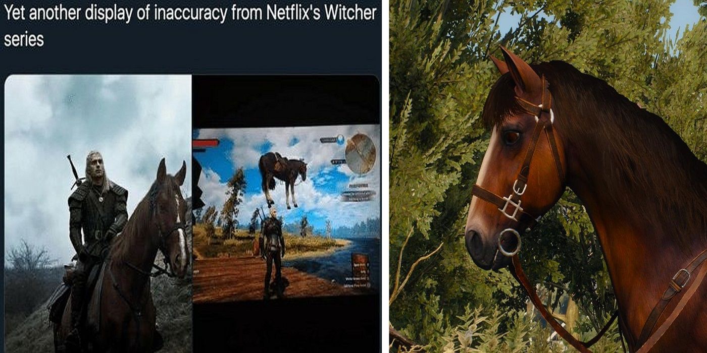 The-Witcher-3-Roach-Meme-6.v1
