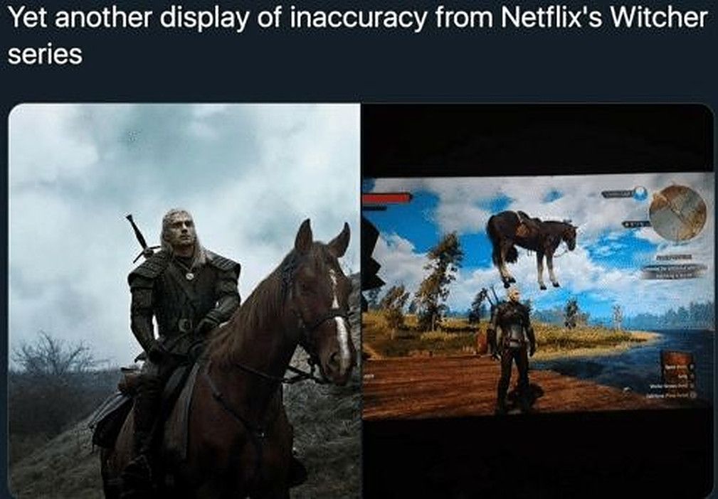 The Witcher 3 Roach Meme