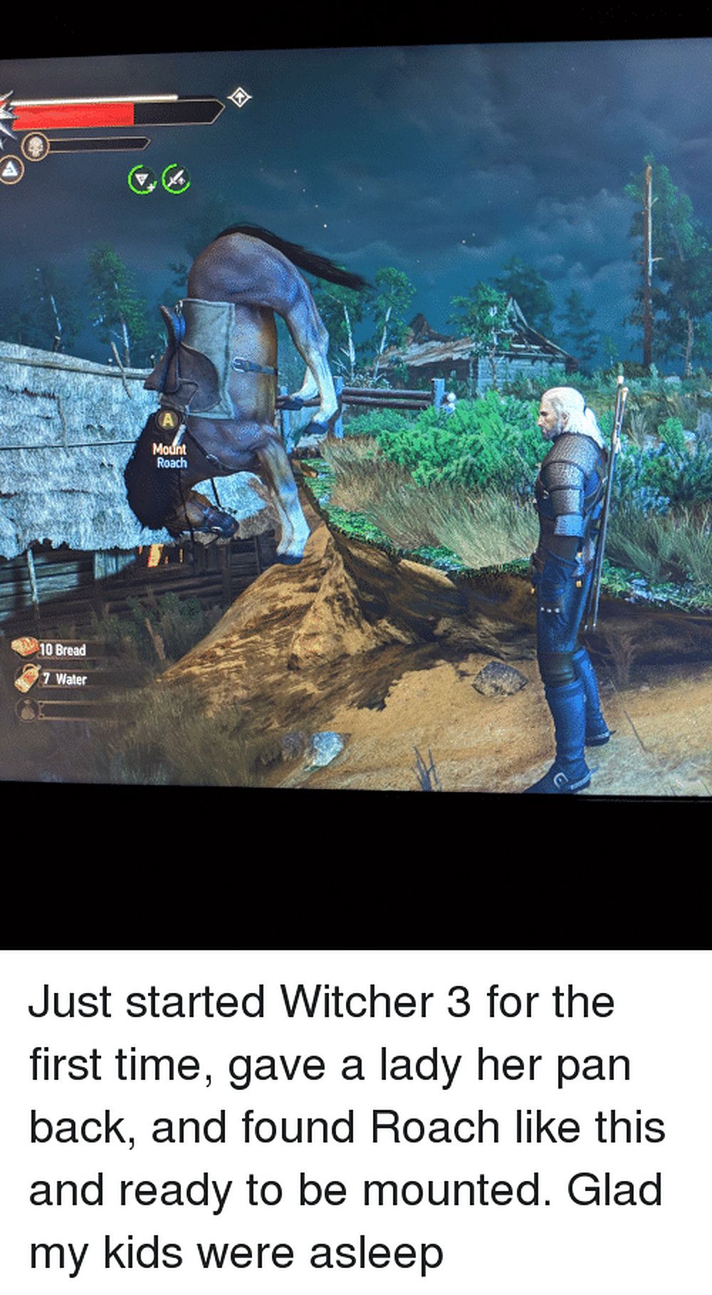 The Witcher 3 Roach Meme