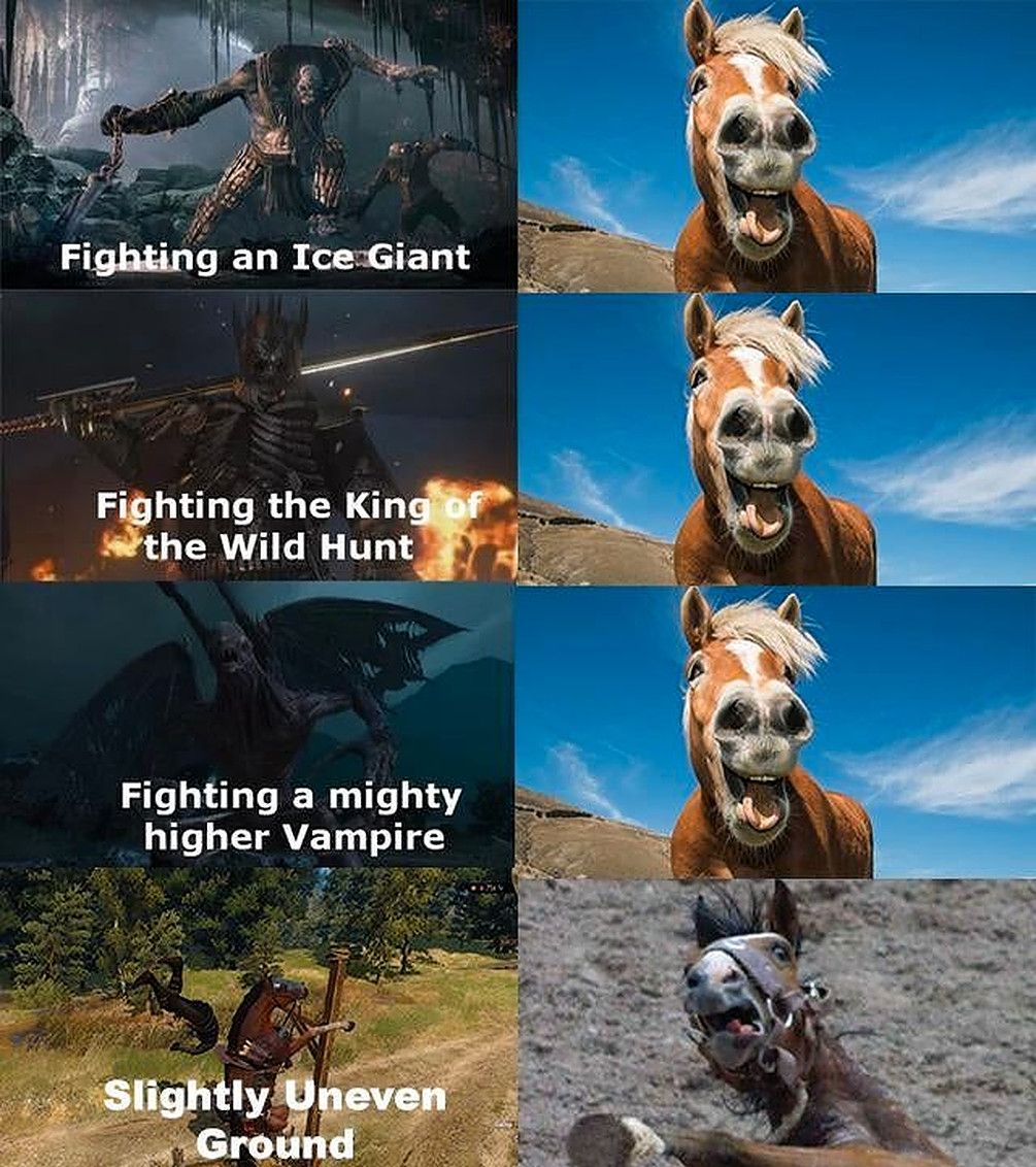 The Witcher 3 Roach Meme