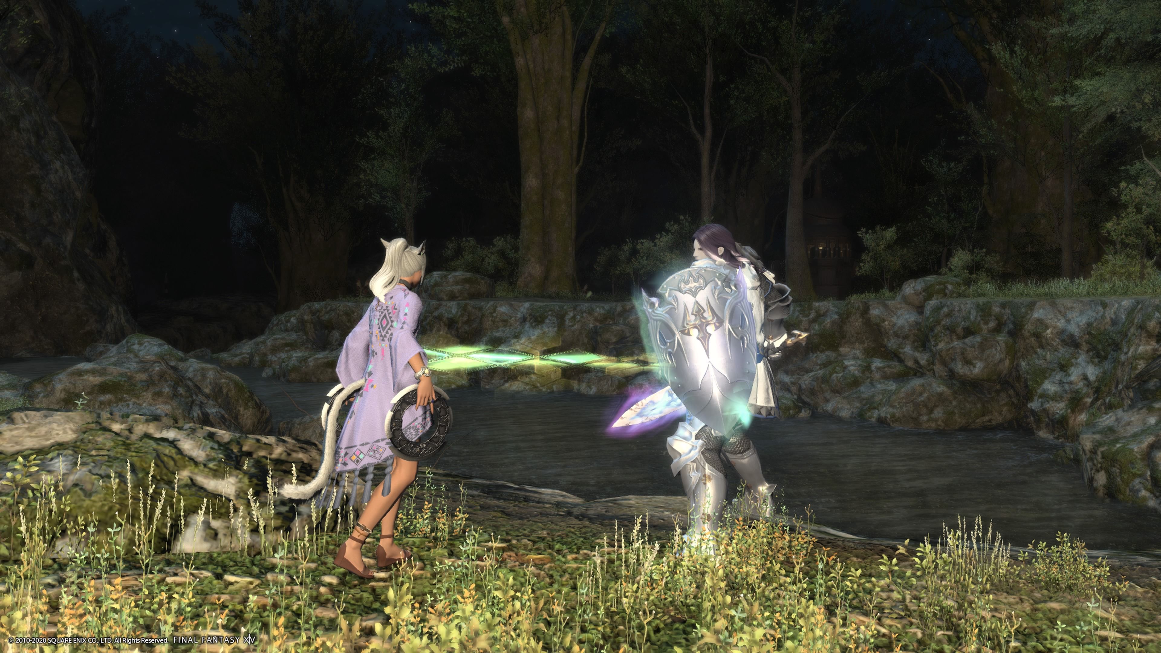 ffxiv paladin screenshot