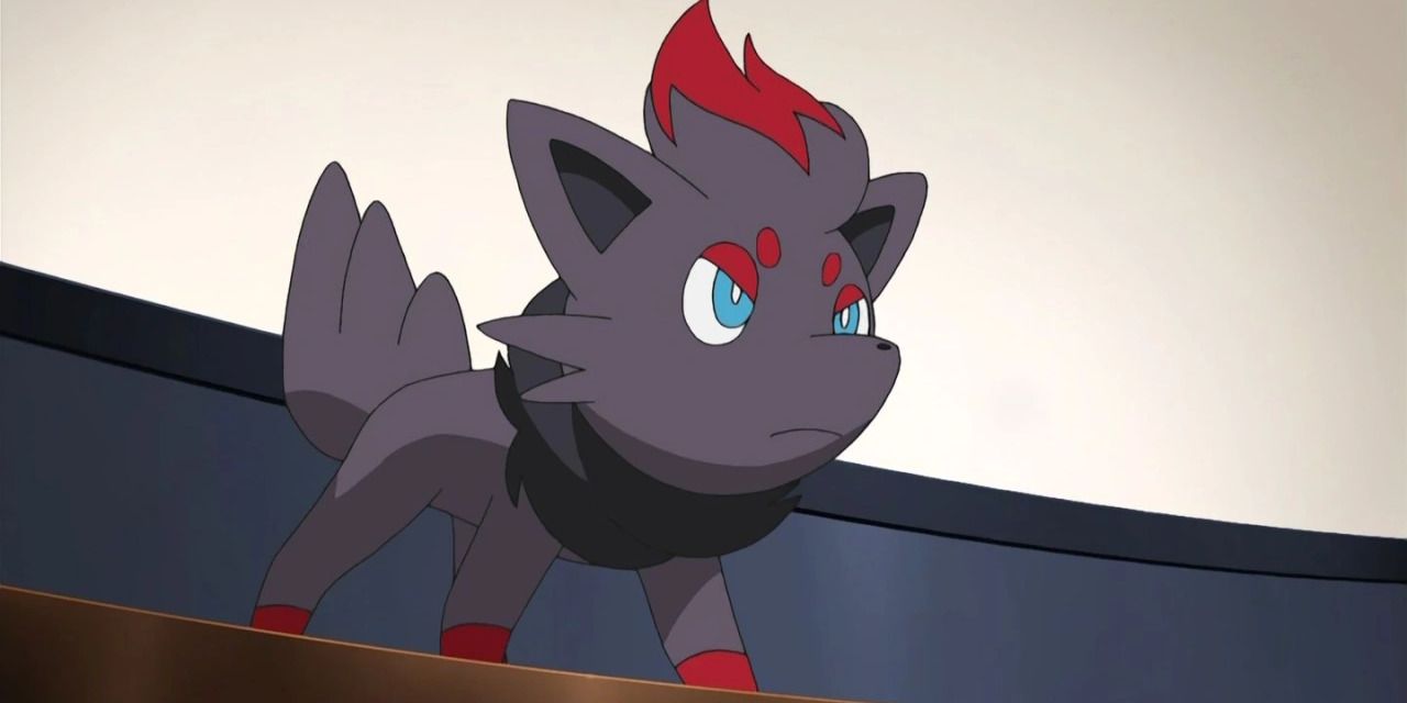 Zorua Prepared for Battle Pokemon ANime