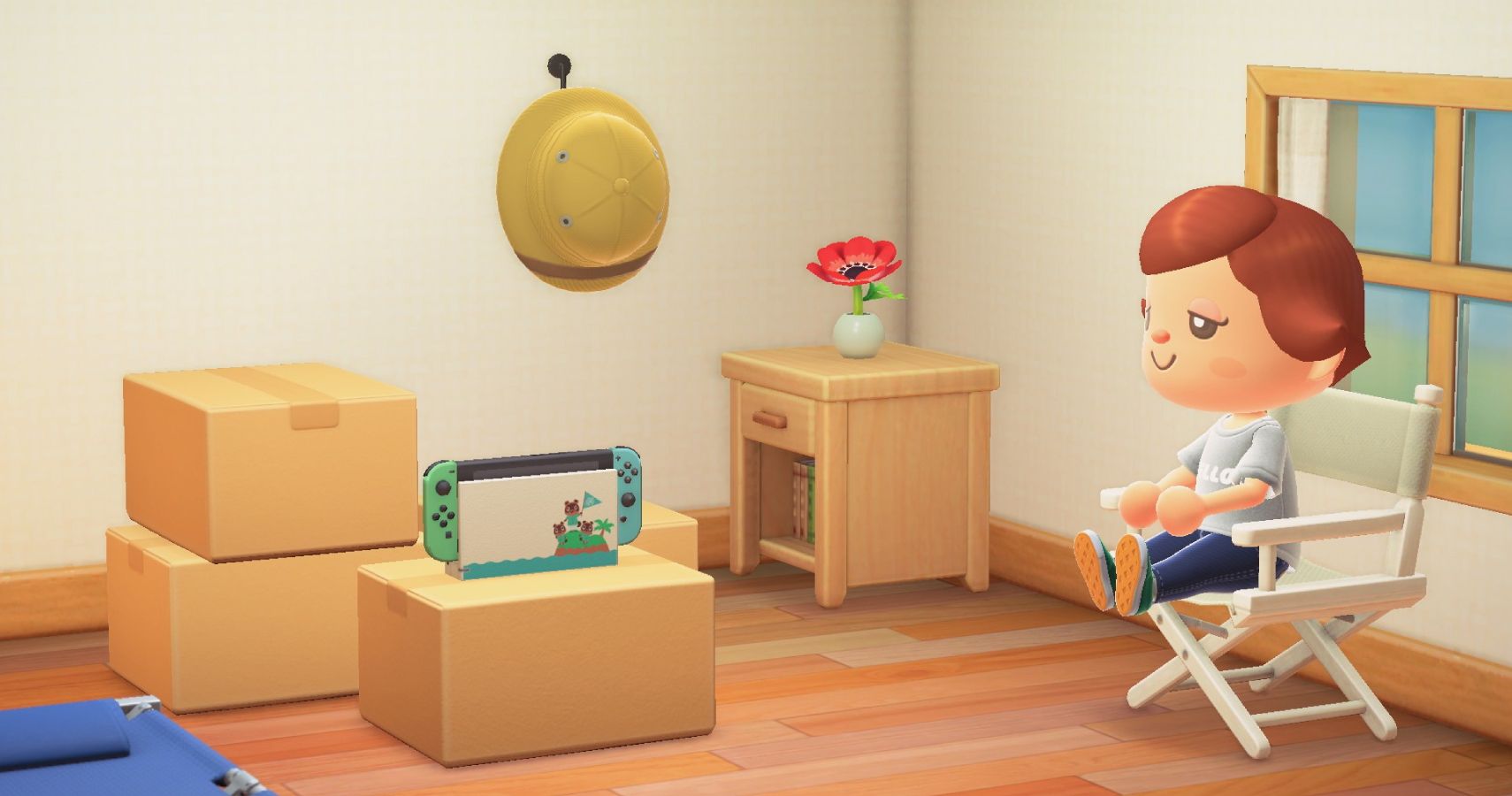 animal crossing switch