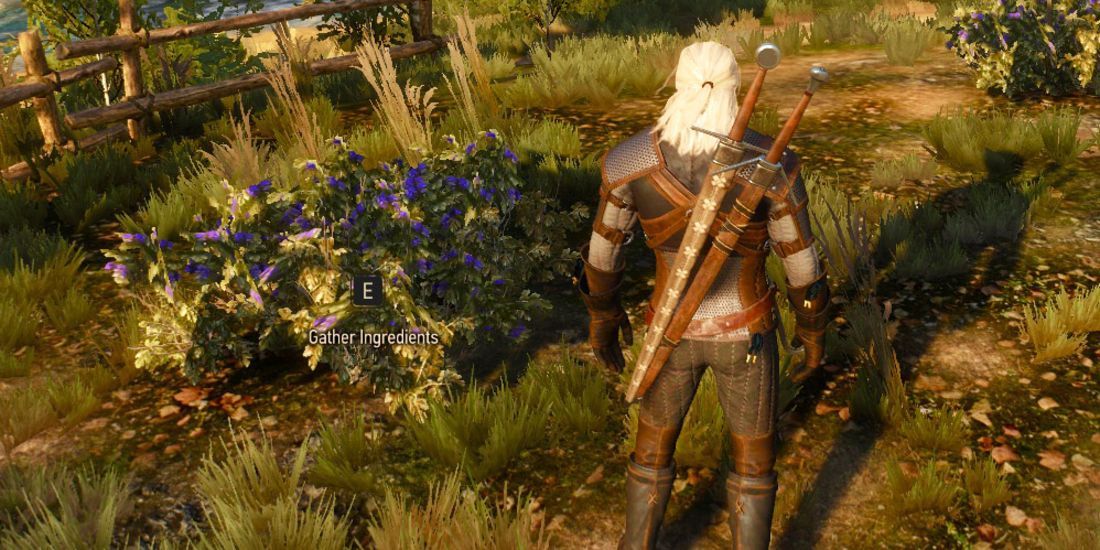 witcher3_alchemy_ingredients