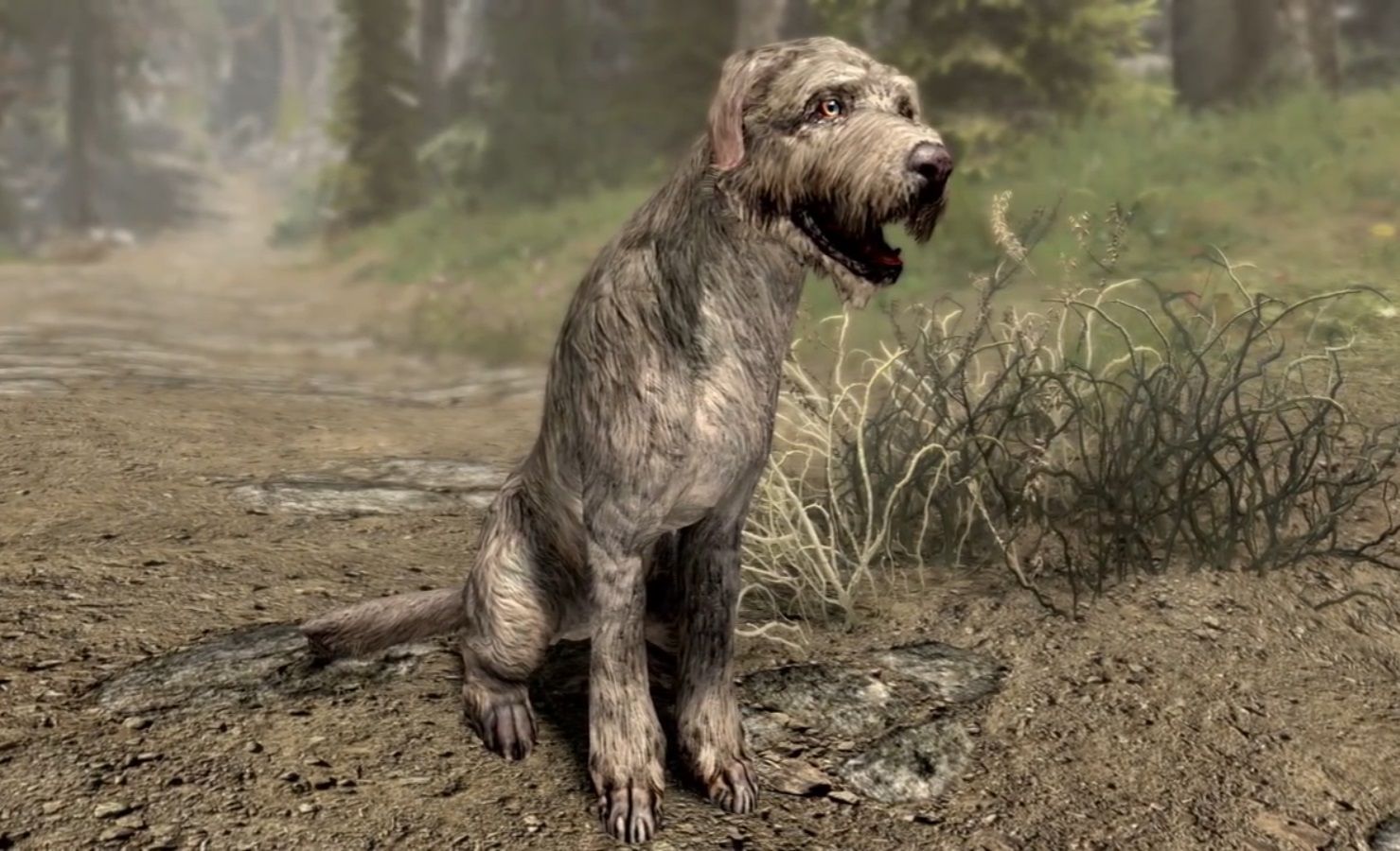 barbas in skyrim