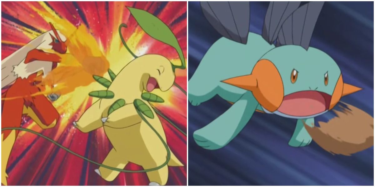 Blaziken Using Fire Punch and Marshstomp Using Mud Shot