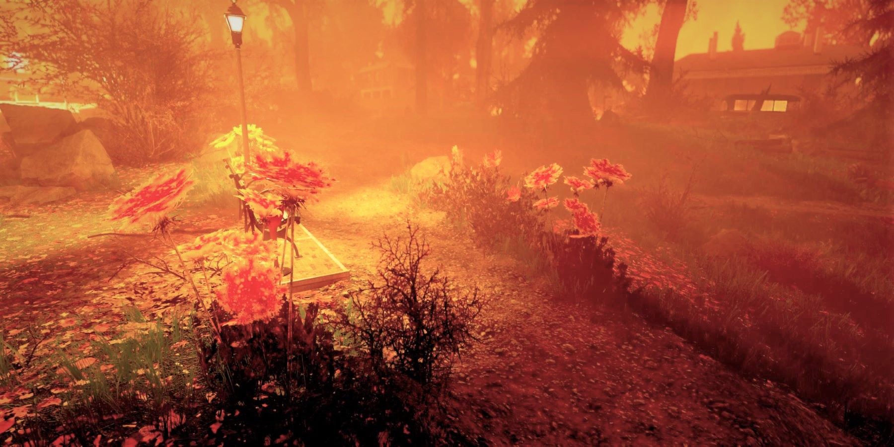 Fallout76 Blast Zone Street Flora