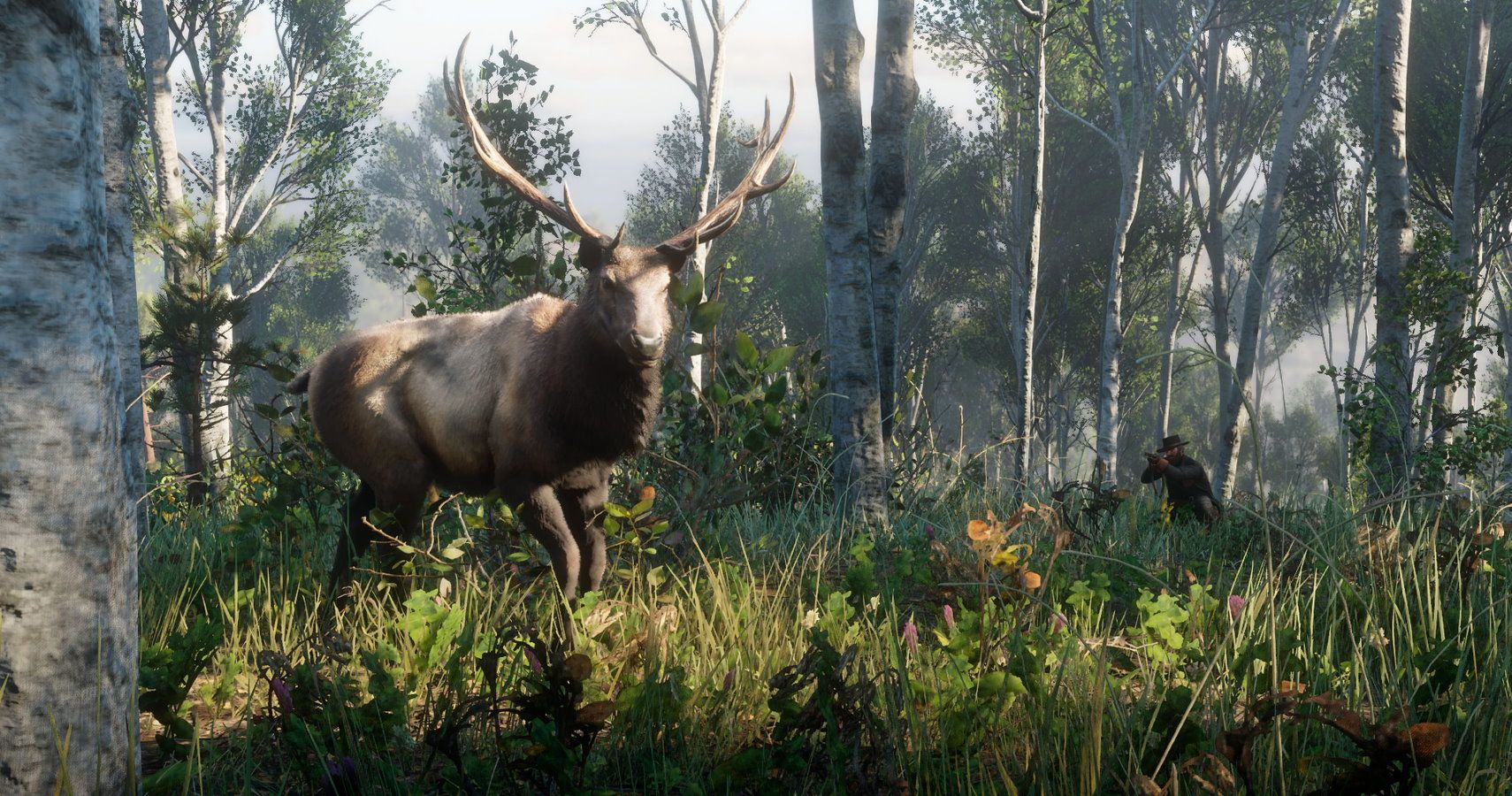 Red Dead Online Nature