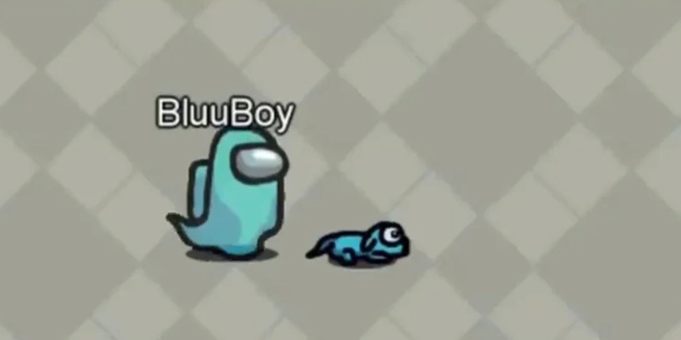 Among Us Example Of A Ghost Standing Next To His Now Lonely Pet
