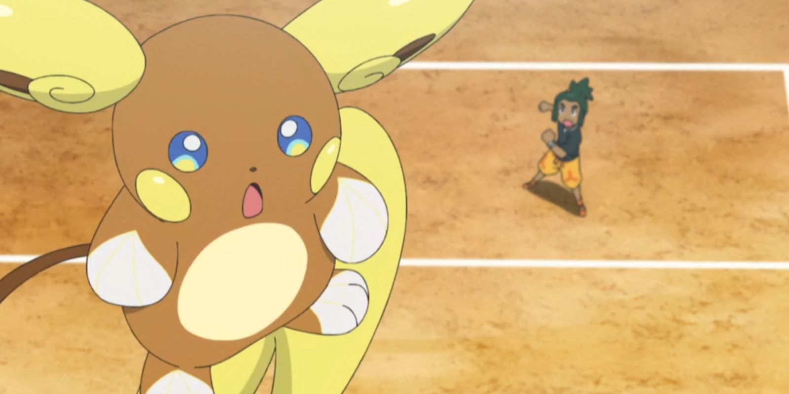 Pokemon Hau & Raichu