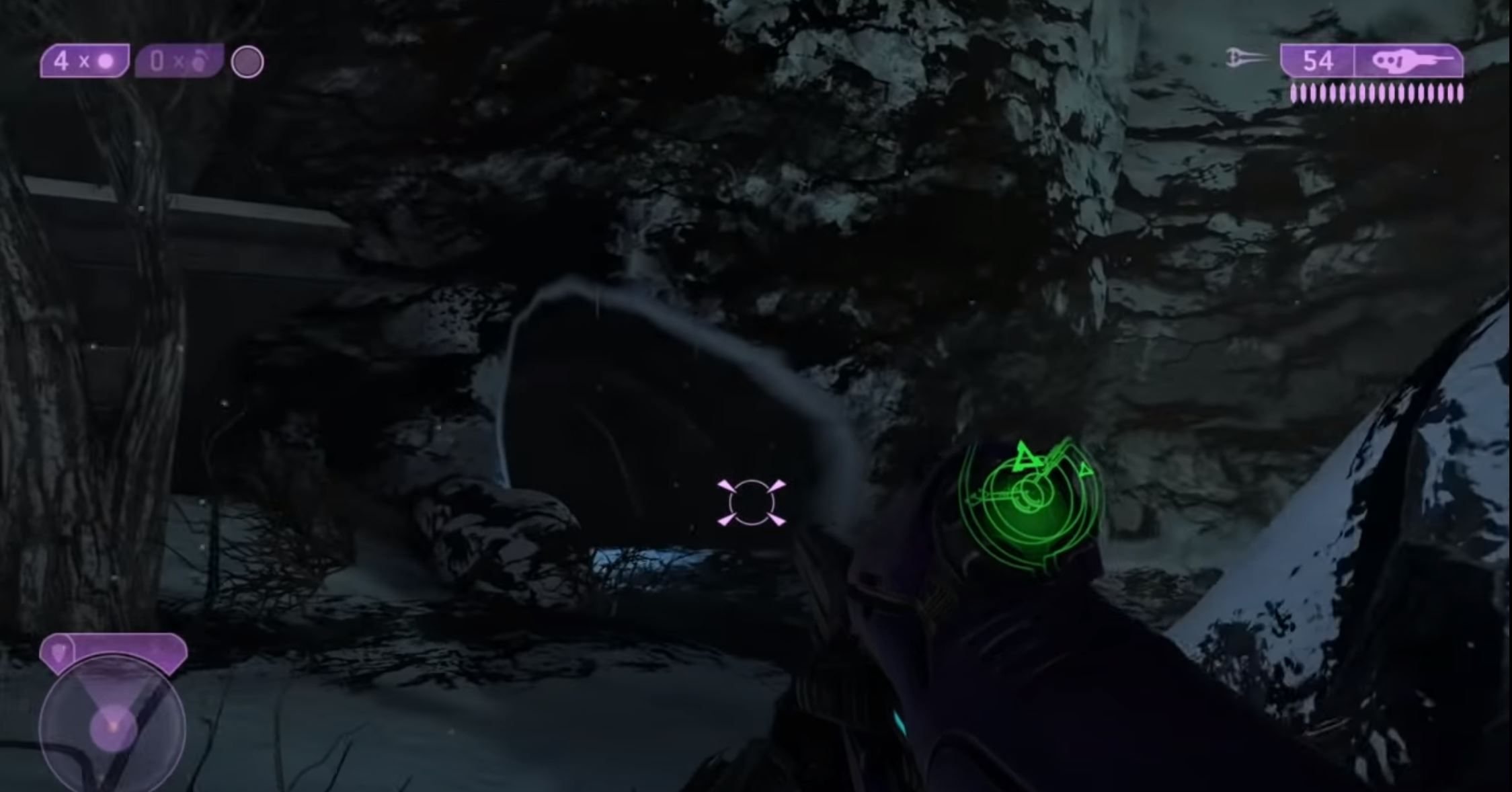 Quarantine Zone Skull 1