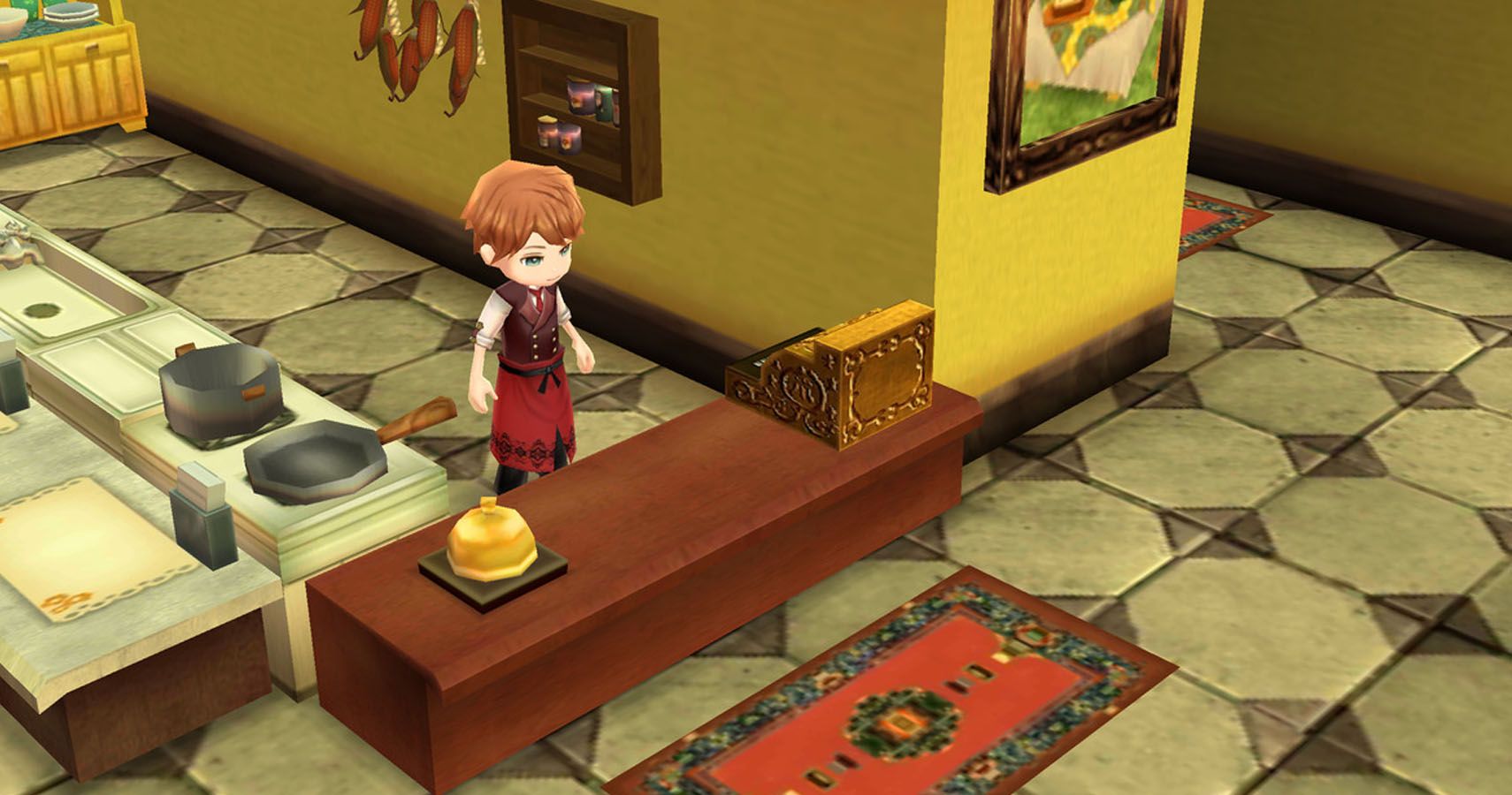 Story of seasons store kitchen