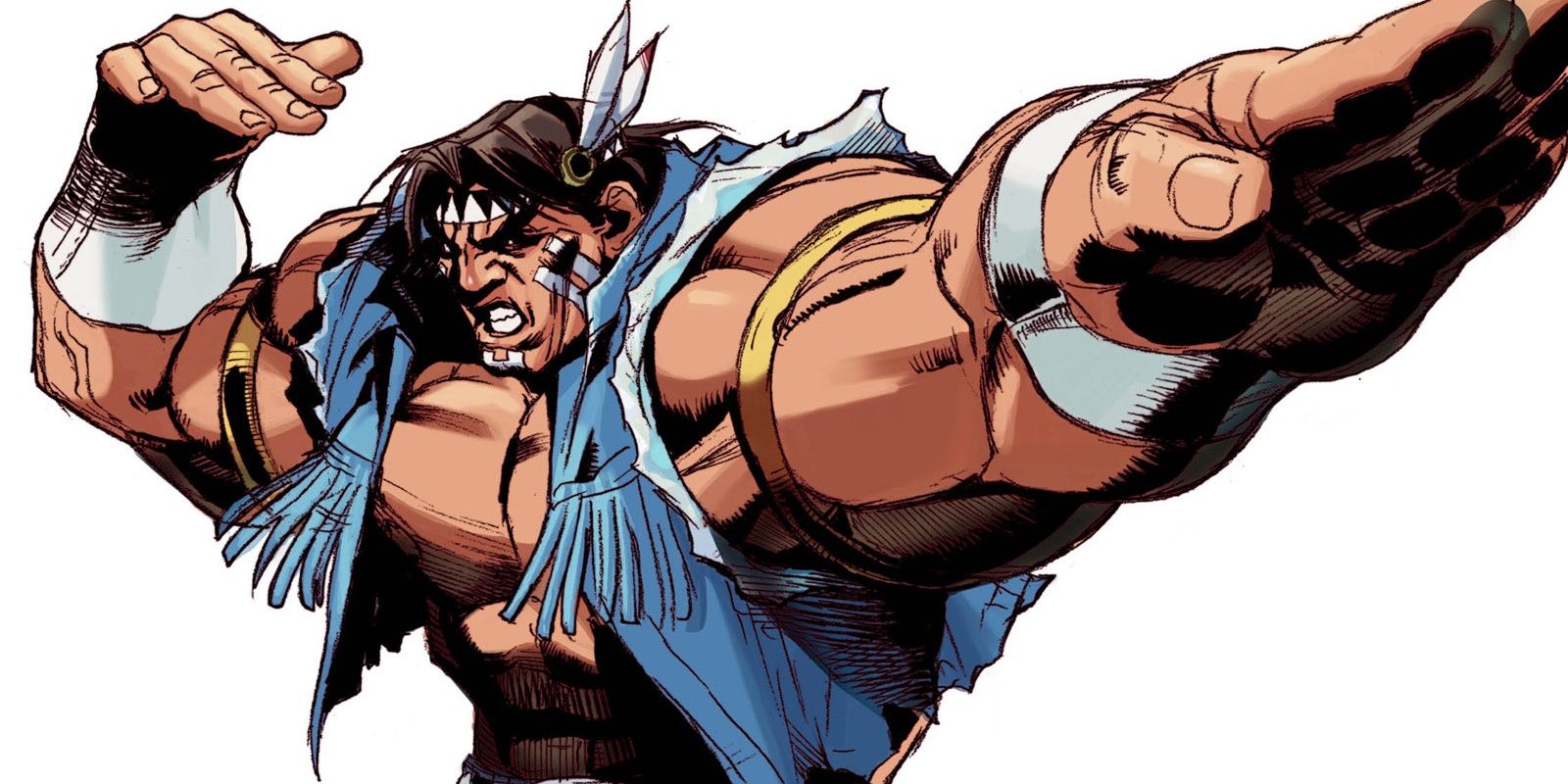T. Hawk Street Fighter Artwork