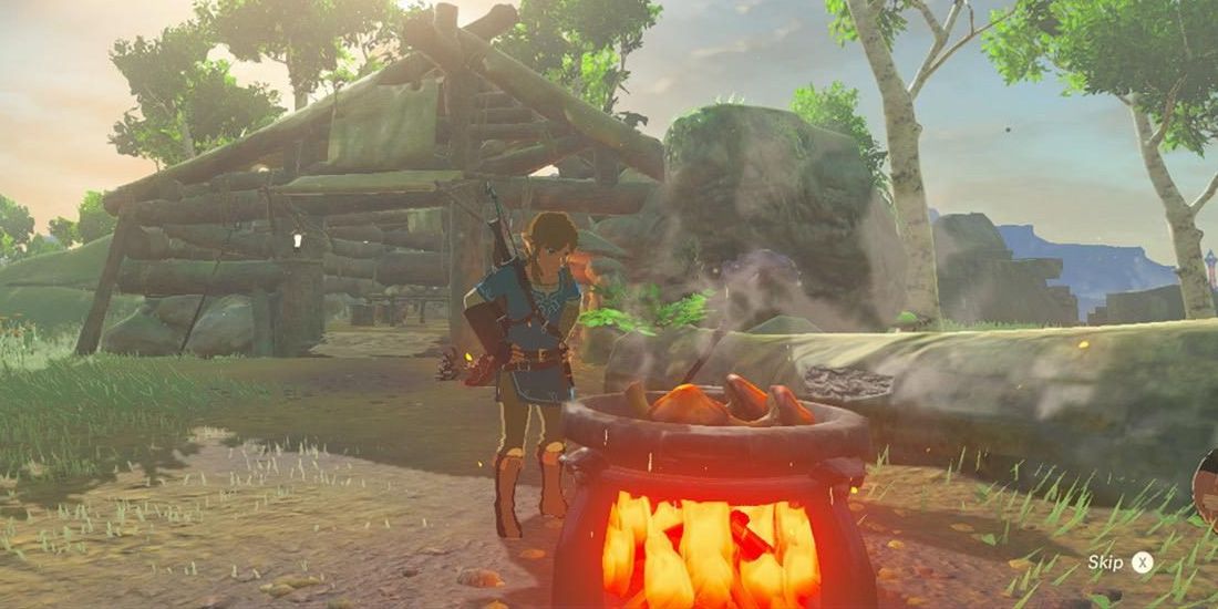 Zelda Breath of the Wild - Link cooking