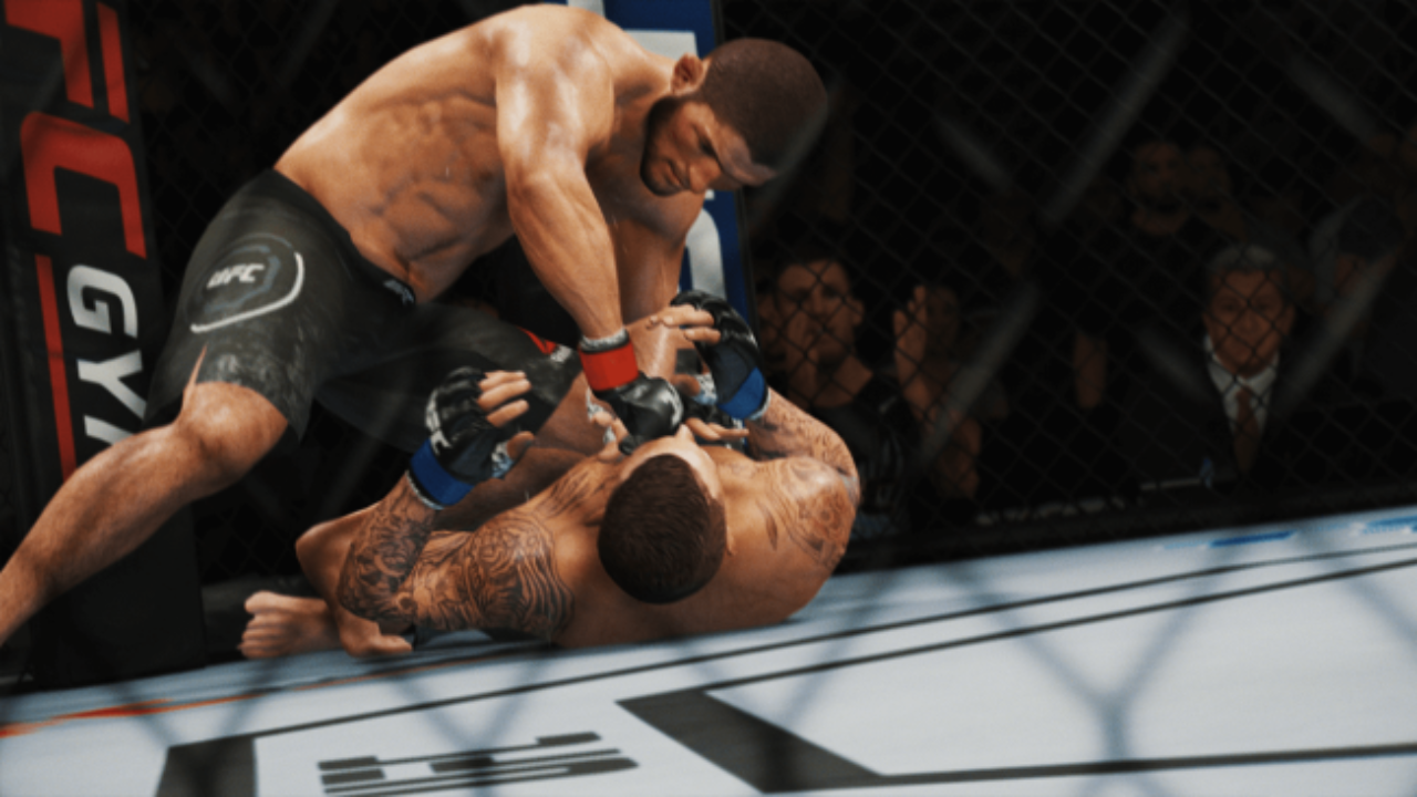 UFC ground and pound