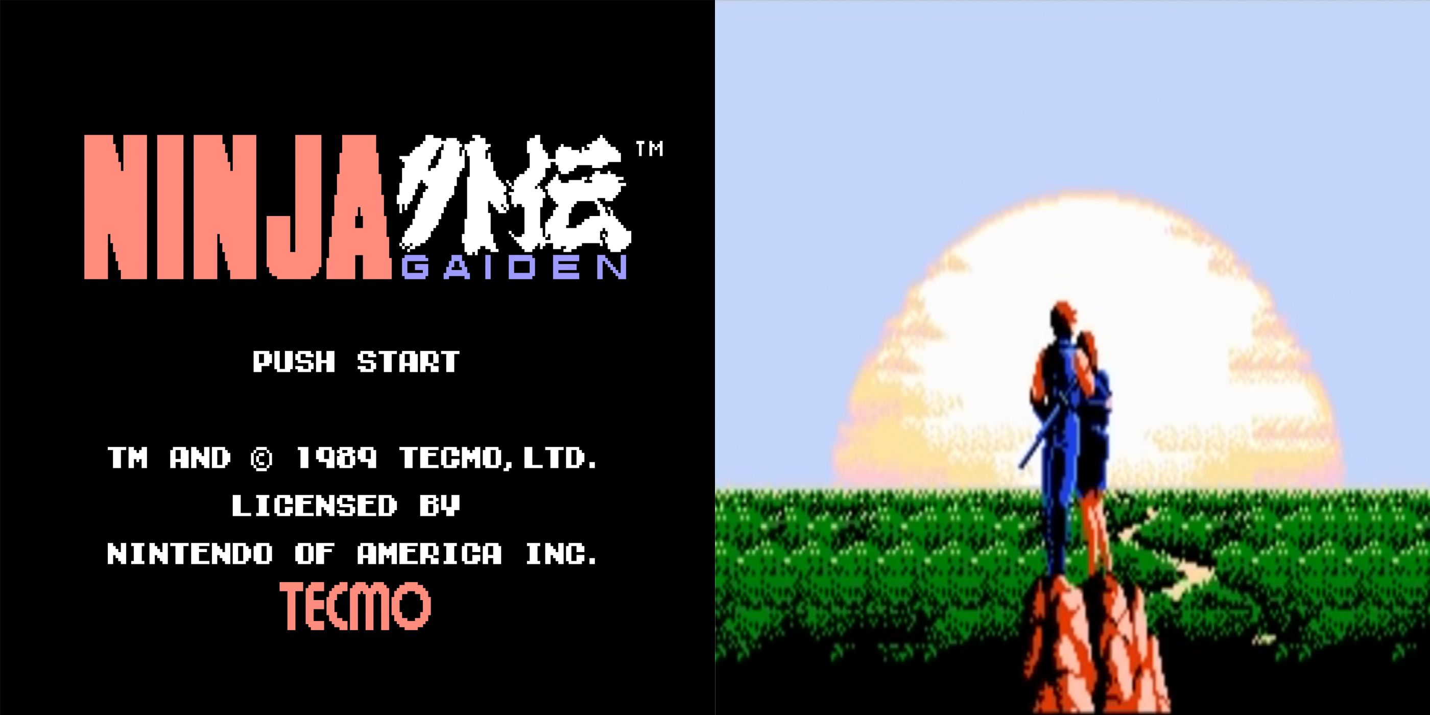 Ninja Gaiden for the NES