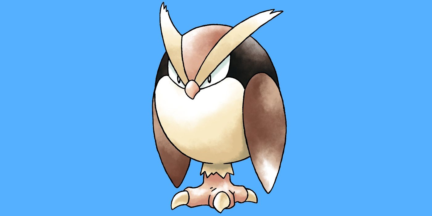noctowl