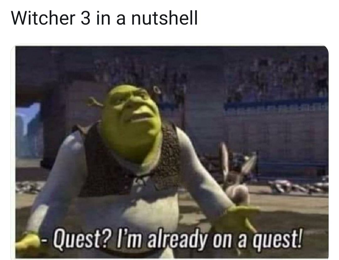 quest-fealaaa-im-already-ona-quest-witcher-3-in-a-67872136