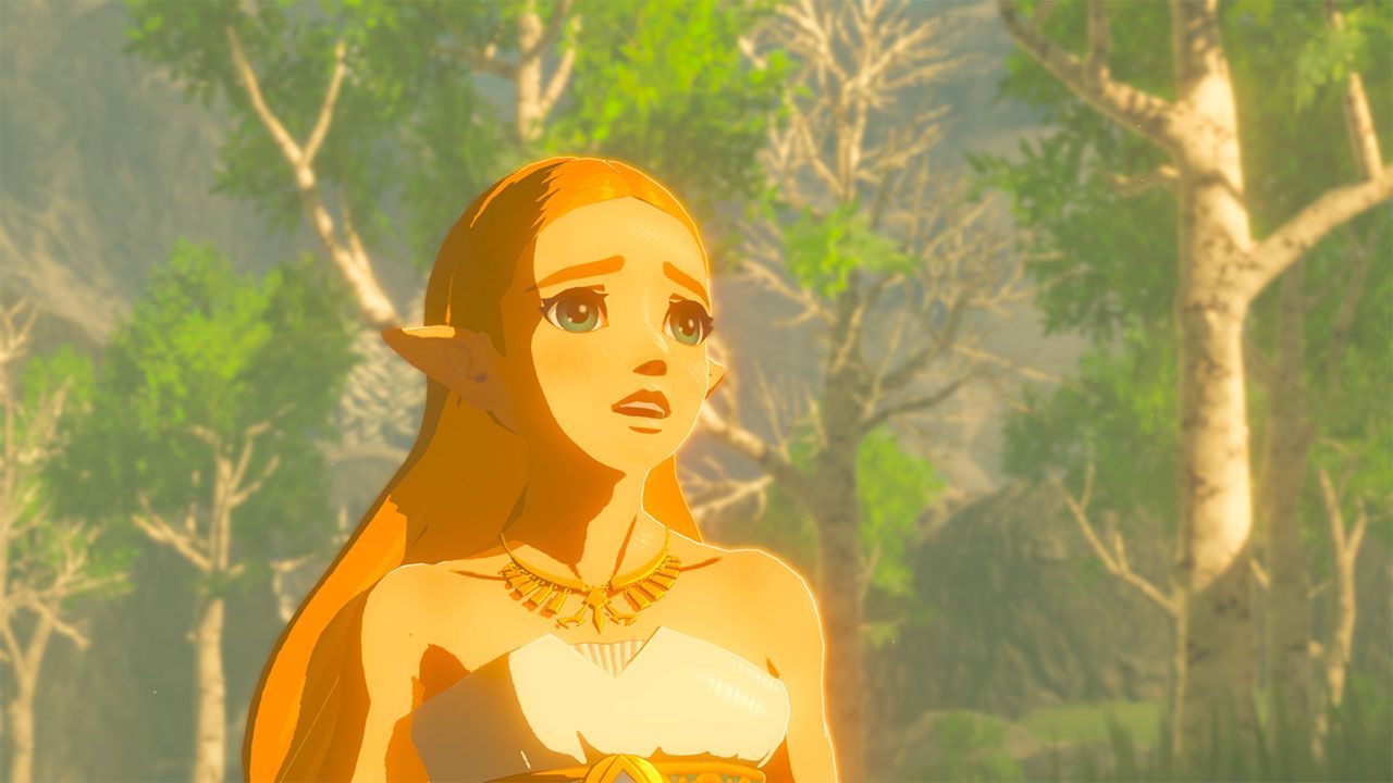 Zelda worried Breath of the Wild
