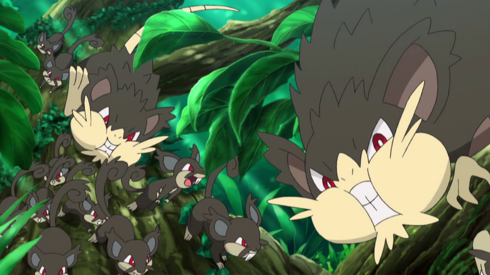 alolan rattata and raticate