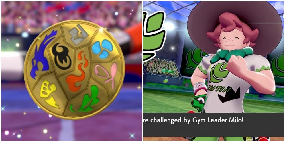 a full set of galar badges and milo from turrfield