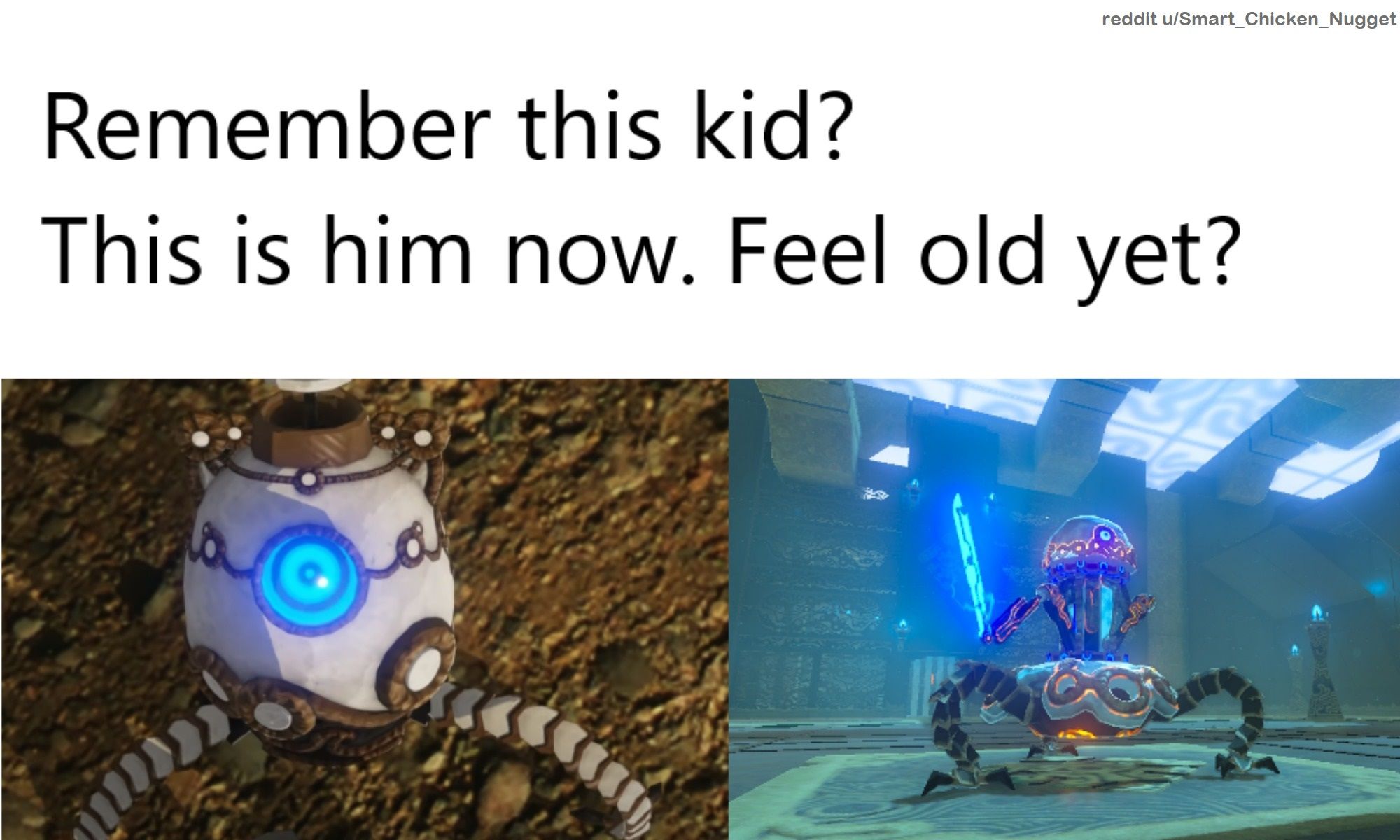 Egg guardian matures and becomes guardian scout