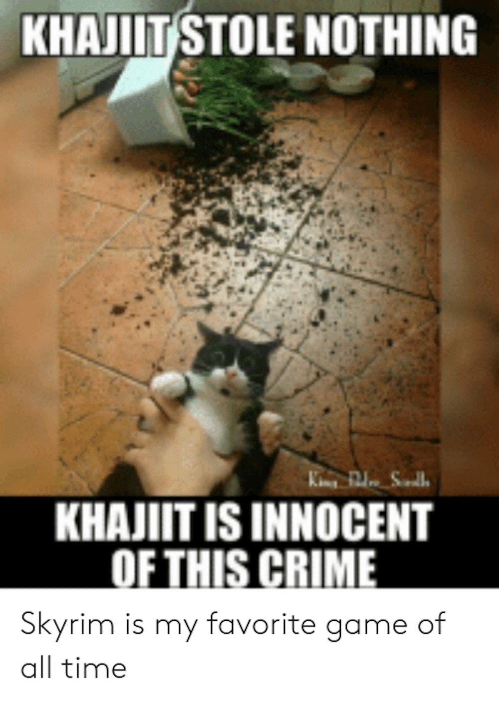 Khajit cat meme copy