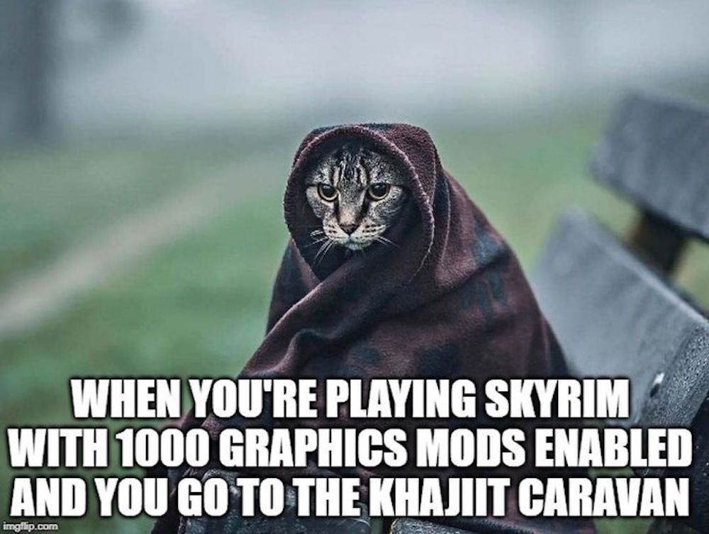 Khajit graphics mod