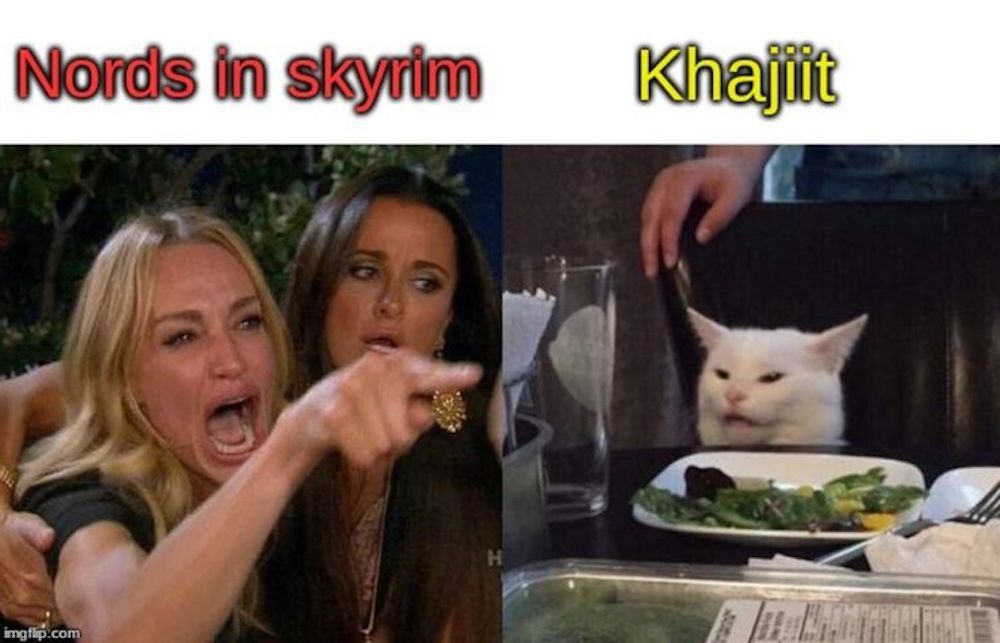 Khajit vs nords syrim meme
