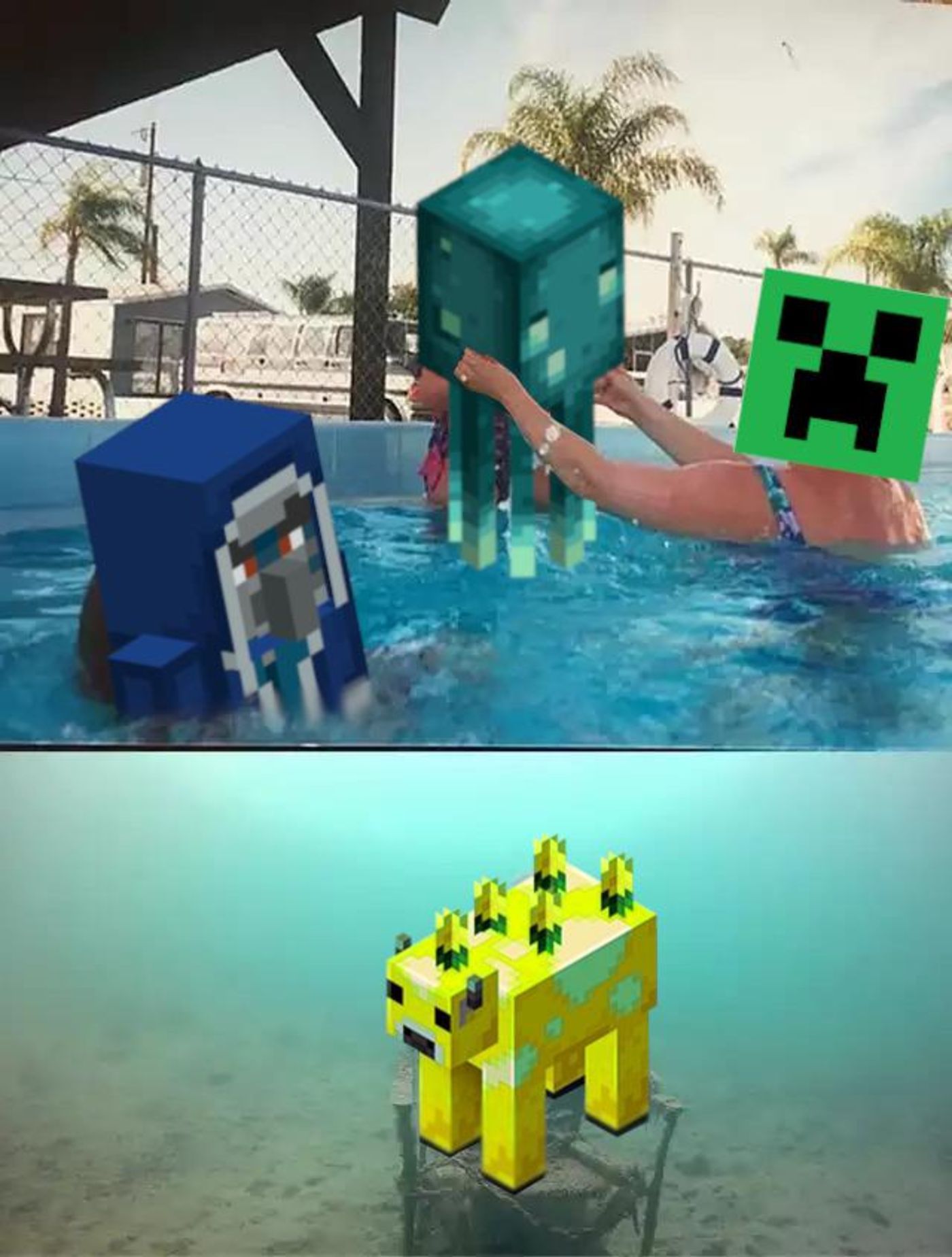 Minecraft The Final Vote With Three Mobs Meme