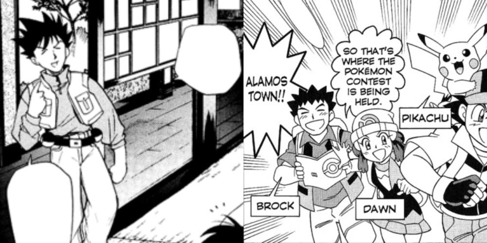 Brock from the Pokemon manga