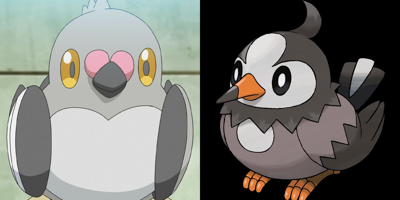 pidove starly