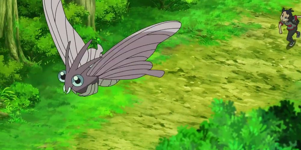 Go chasing Venemoth in Pokemon anime