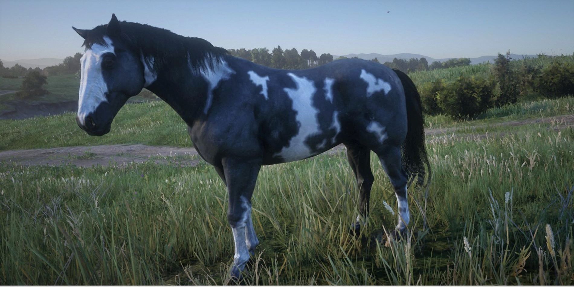 Red Dead Online American Paint Horse Field