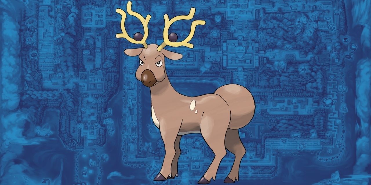 Stantler looking at you against a blue background