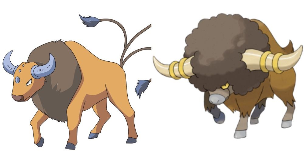 tauros bouffalant pokemon