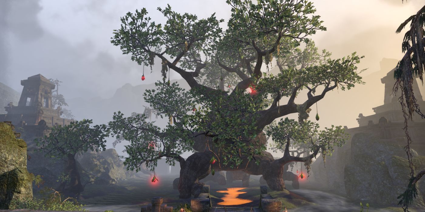 The Elder Scrolls Argonian Hist Tree
