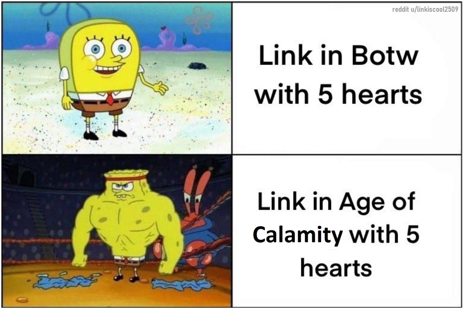 Link in BOTW vs Link in Age of Calamity