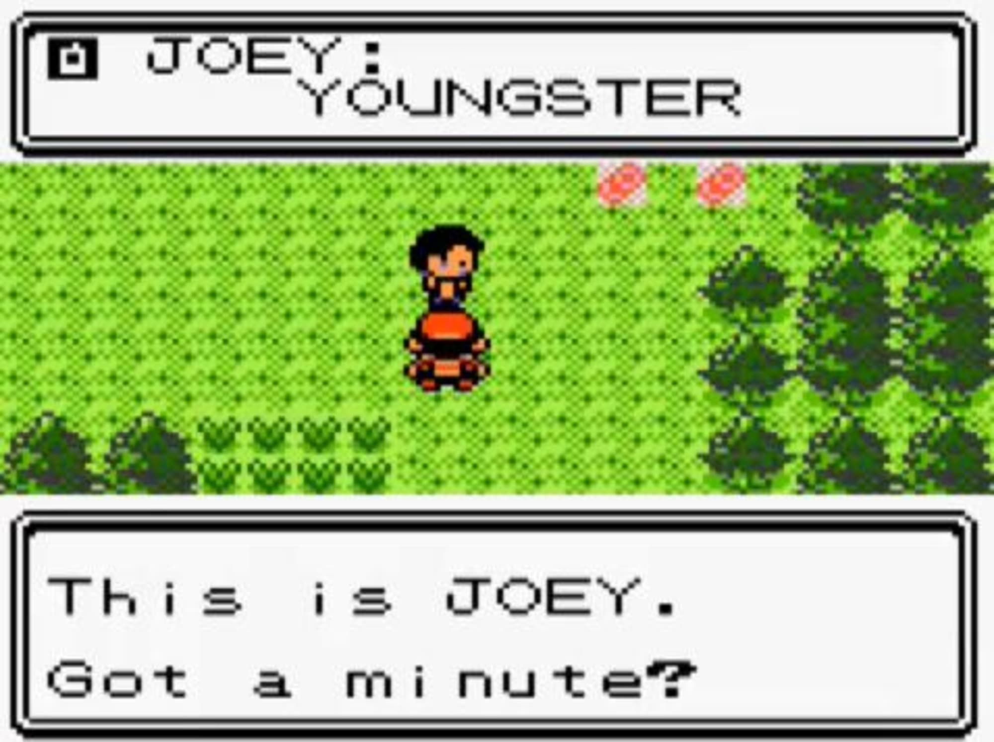 Youngster Joey phone call