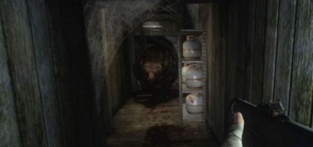 bear chase, Condemned