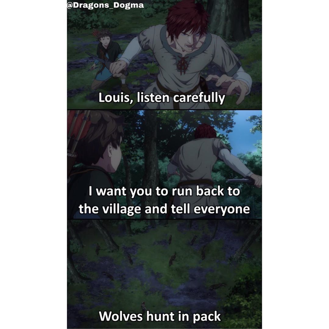 dd wolves meme