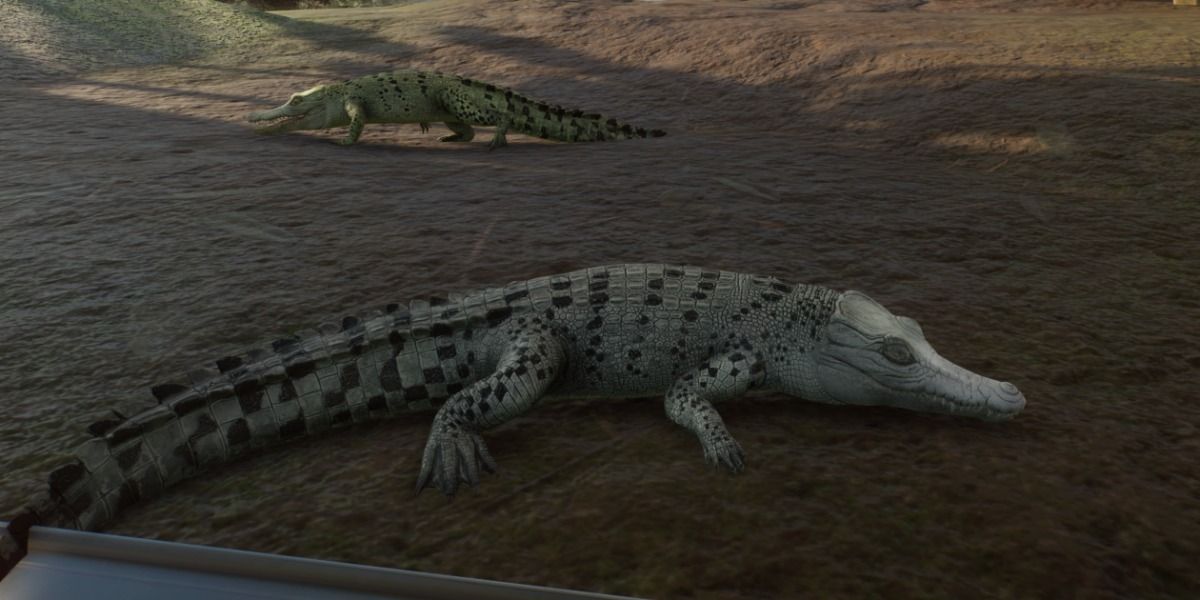 Color variation among Saltwater Crocodiles in 'Planet Zoo'