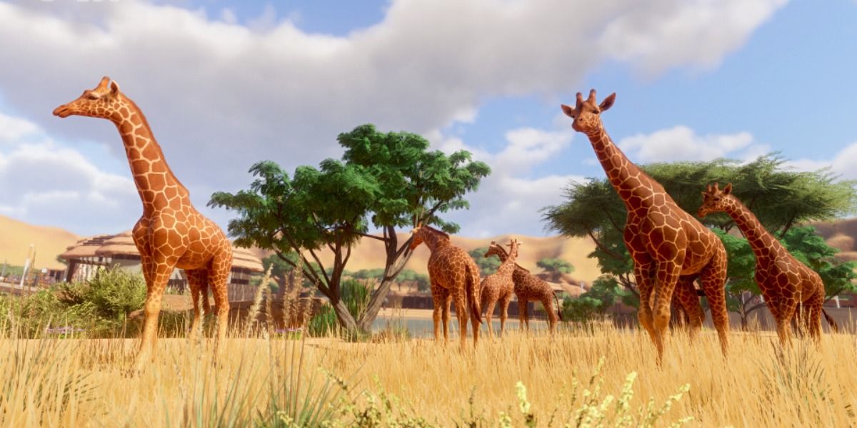 Color variation among Reticulate Giraffes in 'Planet Zoo'