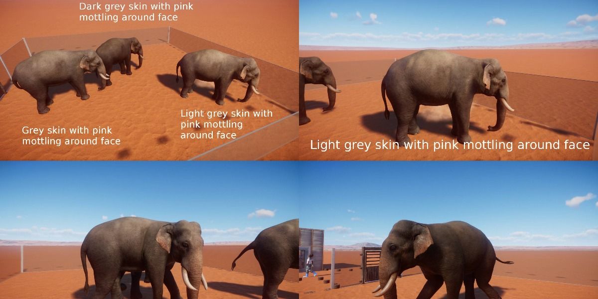 Color variation among Indian Elephants in 'Planet Zoo'