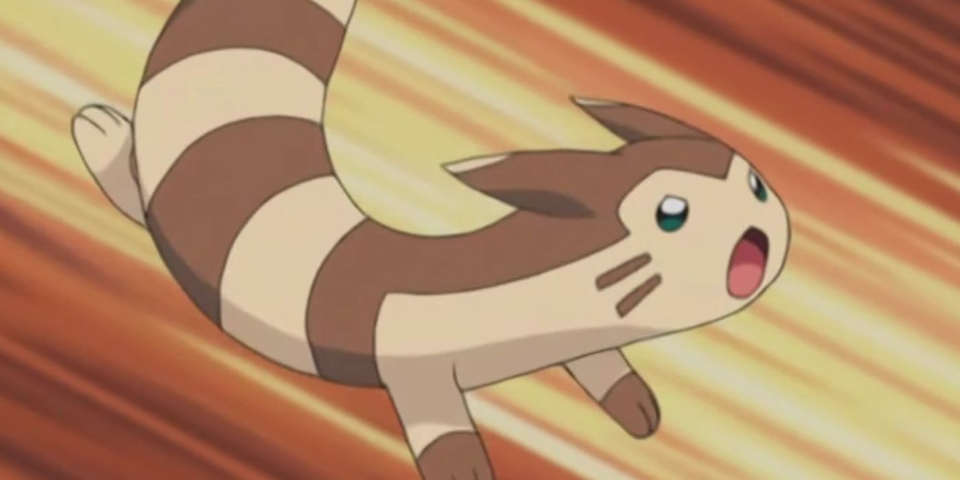 furret